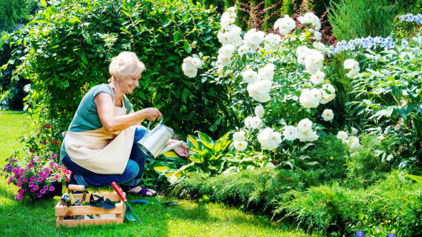 Gardening