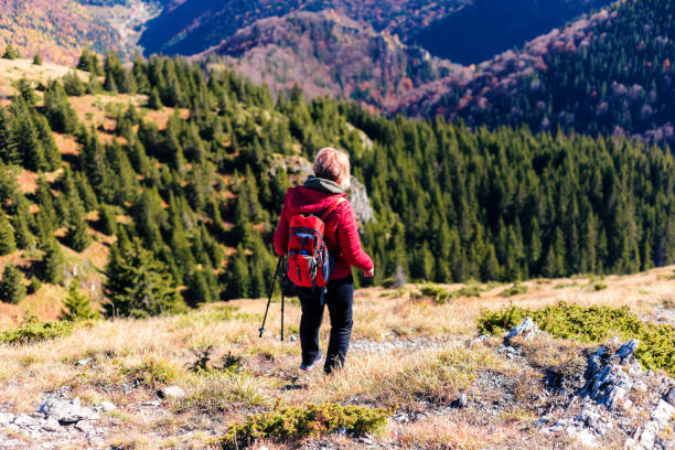 Walking or Hiking