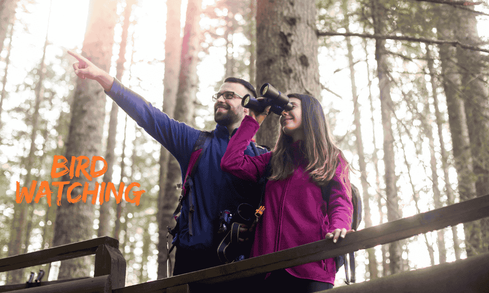 Woman enjoying bird watching with binoculars in a peaceful outdoor setting