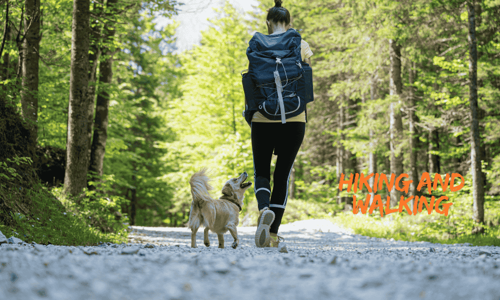A woman hiking on a nature trail with her dog, enjoying outdoor walking as a healthy hobby