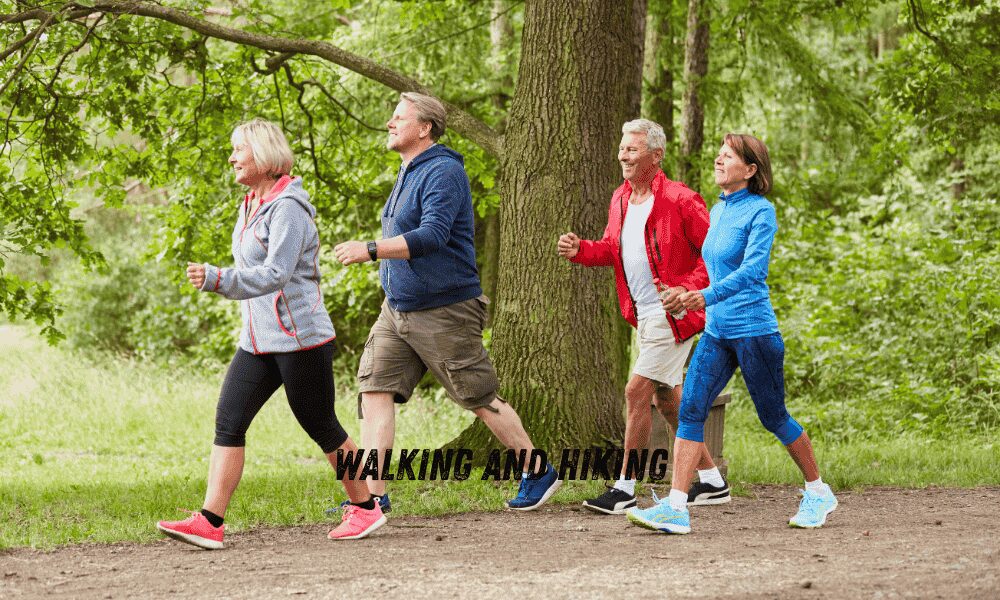 Group of friends walking together on a forest path