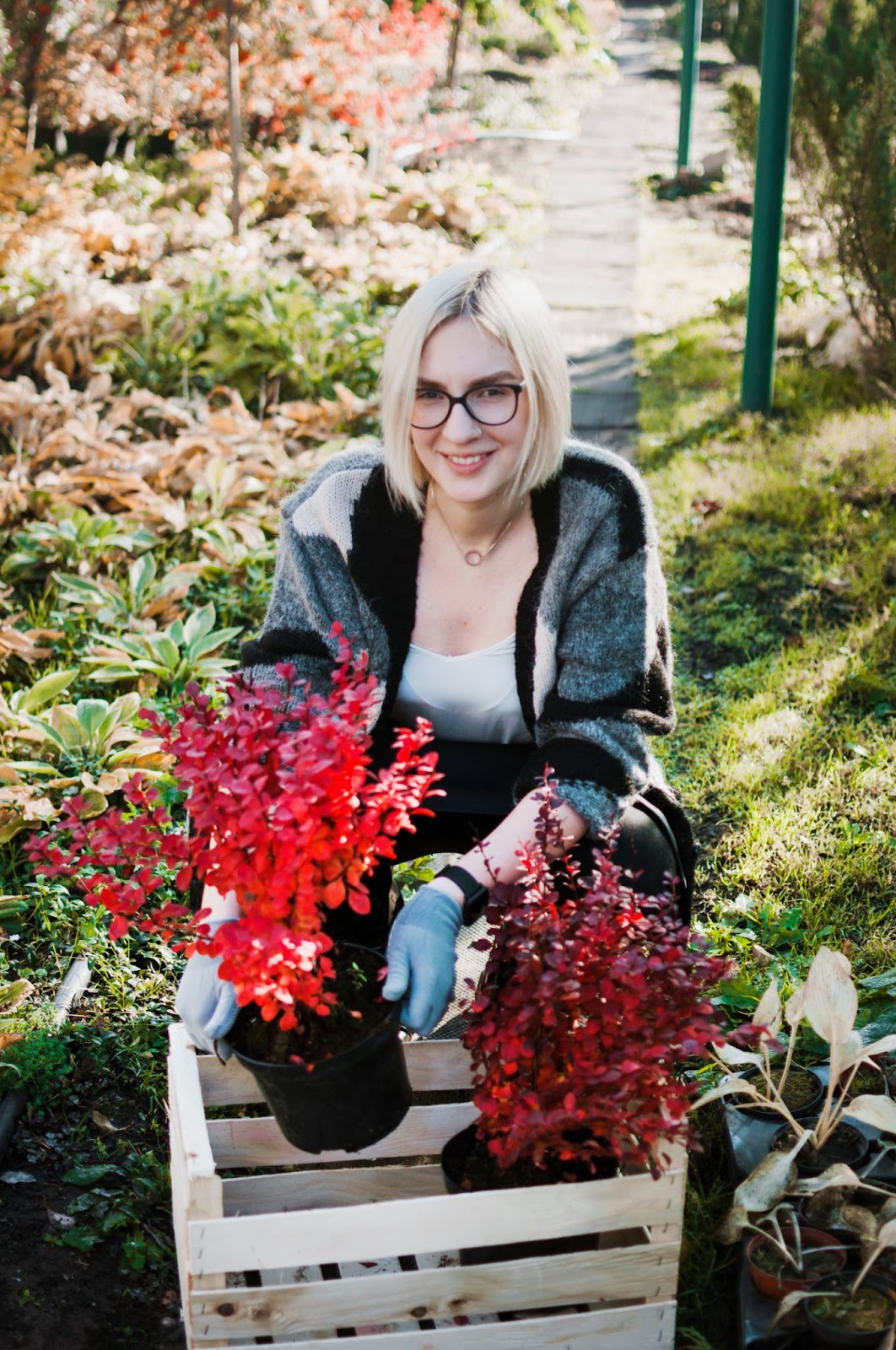 Gardening