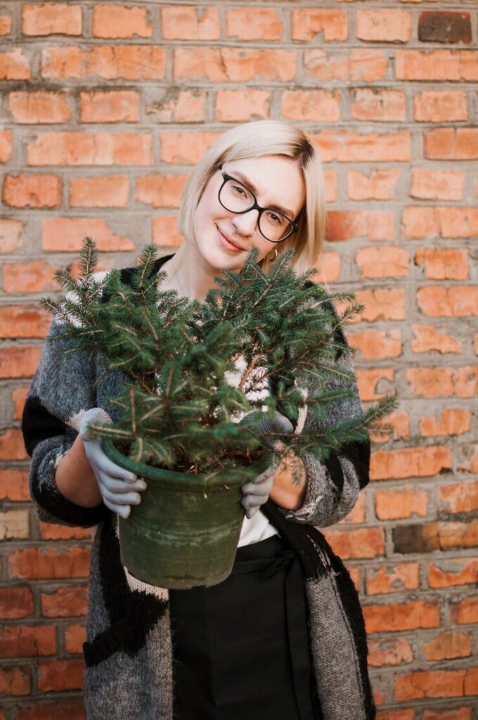 Therapeutic winter hobbies for women – winter gardening for nurturing plants and enjoying seasonal beauty.