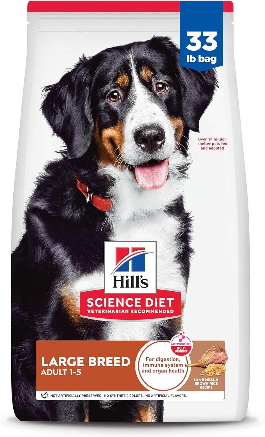 Healthy Dog Food Diet