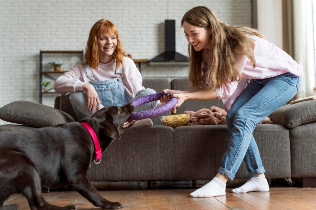 Dog training