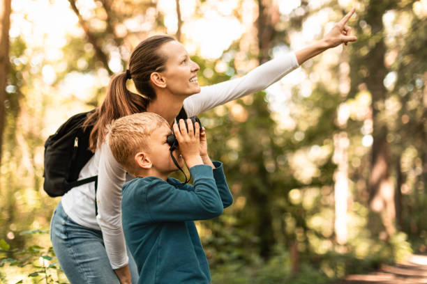 Birdwatching – A peaceful and nature-connecting hobby for women in their 40s