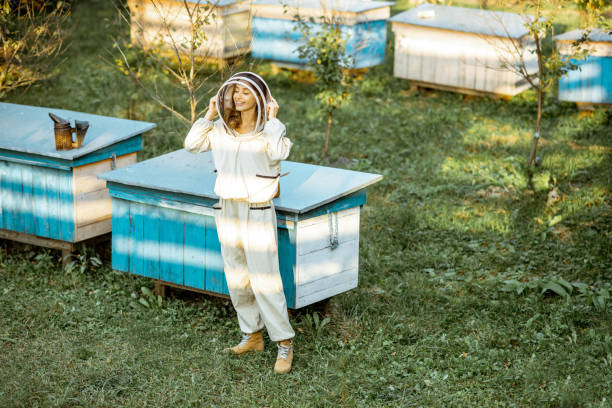 Full body portrait of a female beekeeper in protective uniform on the apiary outdoors