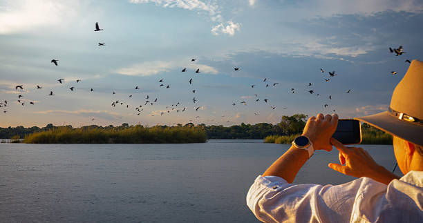 A person takes a photo of a flock of birds flying over a serene body of water, surrounded by lush greenery and trees, during a peaceful sunset