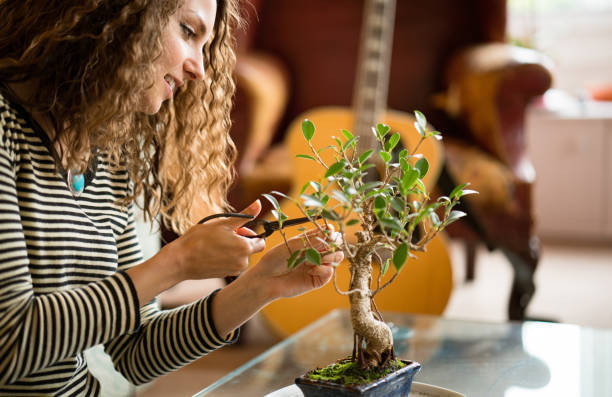 A small bonsai tree being gently pruned by hand on a wooden table, surrounded by care tools and natural light — capturing the calm and patience involved in bonsai tree care.