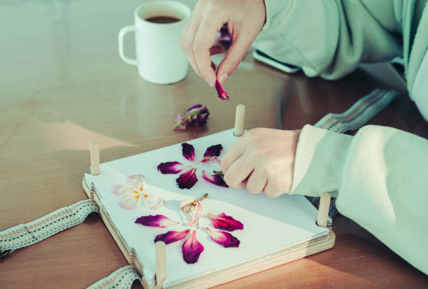 An arrangement of colorful pressed flowers laid out on parchment paper with books and tools nearby — illustrating the delicate and artistic process of flower pressing.