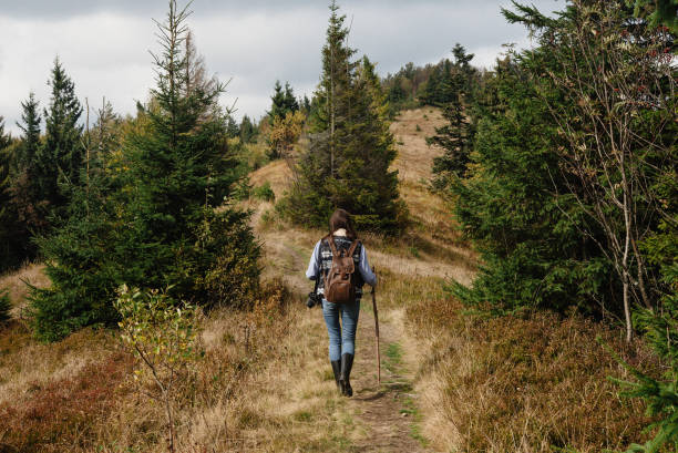 A lone hiker walking along a quiet forest trail surrounded by tall trees and sunlight filtering through the leaves — capturing the peaceful experience of hiking solo in nature.