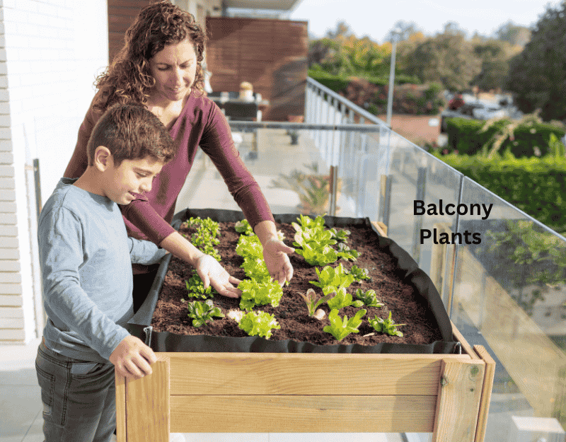 Divorced woman nurturing balcony plants, finding peace through gardening as a healing hobby