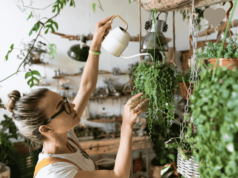 young woman watering potted plants by the window, engaged in a calming daily routine