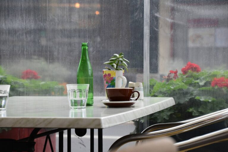 A cozy café table by the window on a rainy day, featuring a coffee cup, glass bottle, and potted plant with raindrops on the glass.