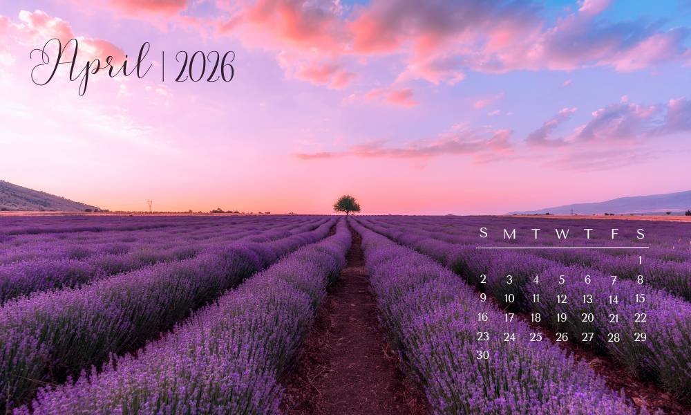 Free download April flowers backgrounds for every device featuring a lavender field landscape with April 2026 calendar under a colorful sunset sky