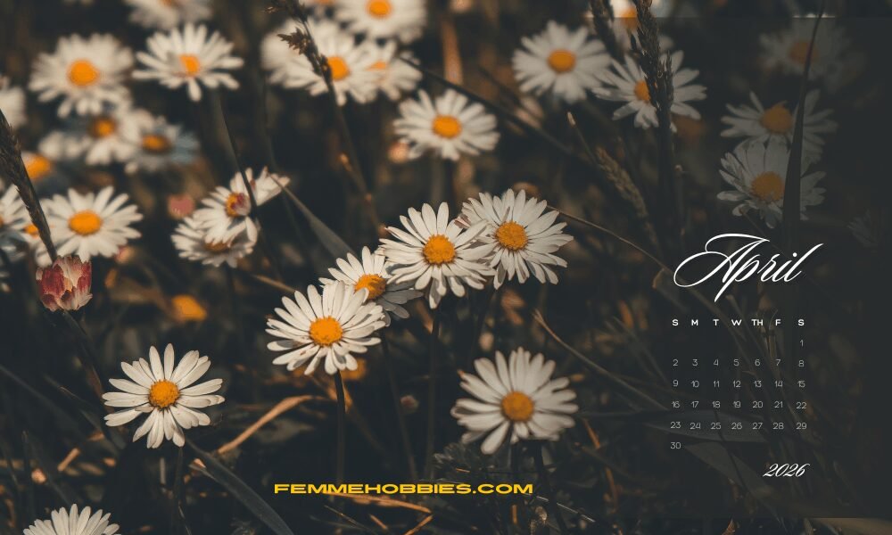 April flowers background with soft daisy blooms and warm sunlight, creating a calm and relaxing spring mood for aesthetic wallpapers